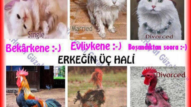 Bekarken, herşey iyi hoş.. Güzeliz/yakisikliyiz.. Peki ondan sonra ne oluyor da hatlar kopuyor, evrim çatismasi içine giriliyor?