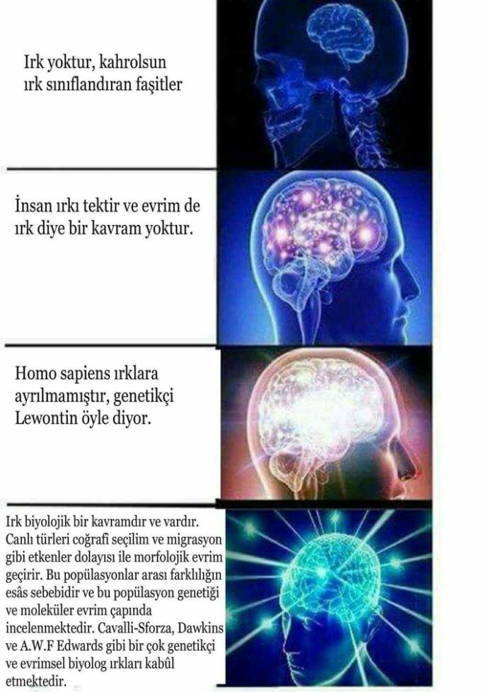 Türk, Kürt, Laz, Çerkez sizce fark eder mi?