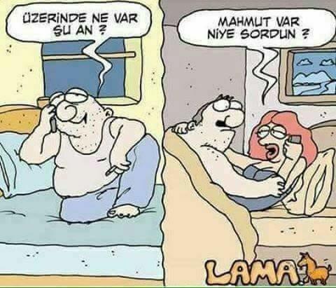 Cinsel karikatürler ilginizi çeker mi?