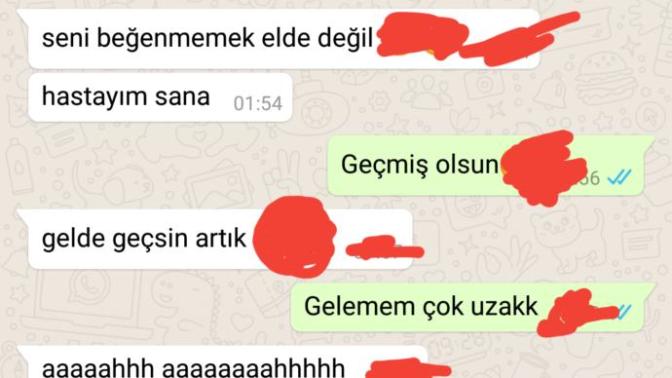 Şair burda ne demek istemiş (resimli ) ?
