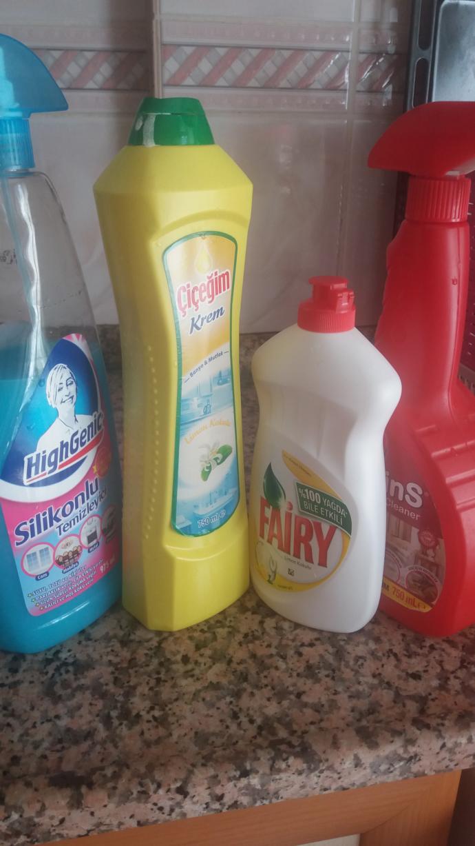 Temizlik yapmayı sevenler?