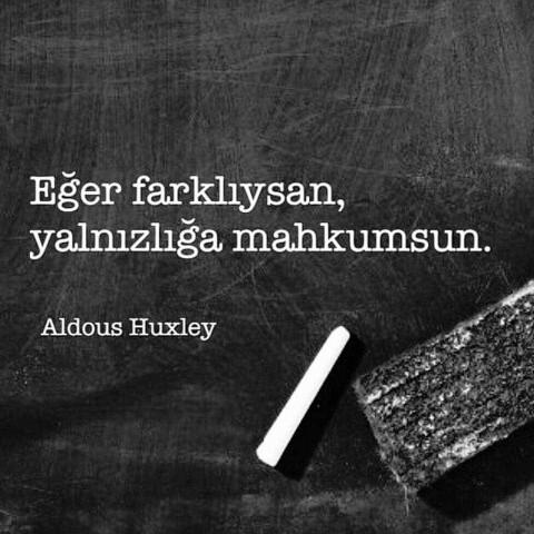 Sıradan olmak mı daha iyidir yoksa farklı olmak mı? Siz hangisindensiniz?