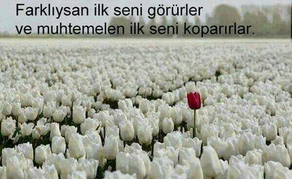 Sıradan olmak mı daha iyidir yoksa farklı olmak mı? Siz hangisindensiniz?