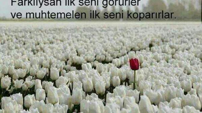 Sıradan olmak mı daha iyidir yoksa farklı olmak mı? Siz hangisindensiniz?
