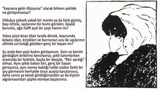 Kaynana gelin illüzyonu deniliyormuş, siz resimde ne görüyorsunuz?