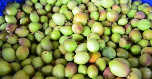 Nektarin çağlası sağlıklı mıdır kaç kalori?