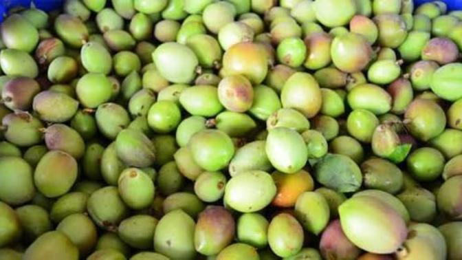 Nektarin çağlası sağlıklı mıdır kaç kalori?