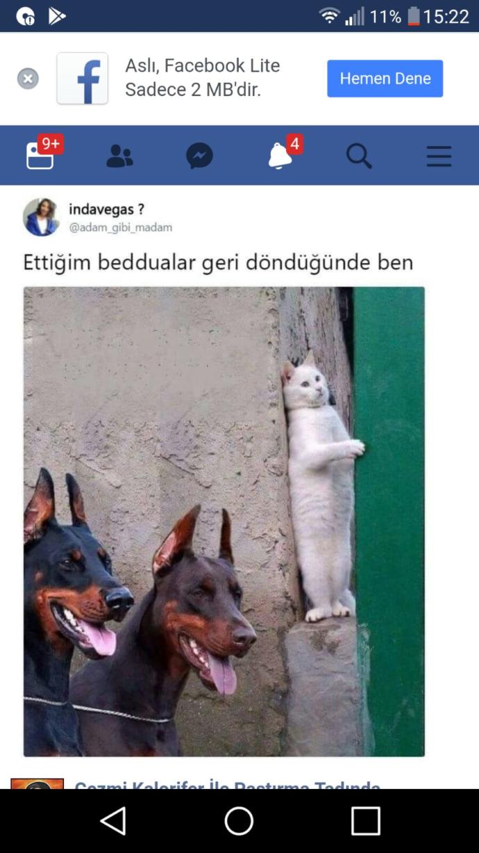 Elçin Sangu mu daha güzel yoksa Demet Özdemir mi daha güzel sizce?
