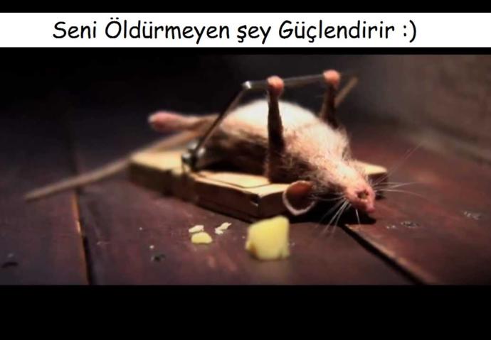 Acı insana ne kazandırır?