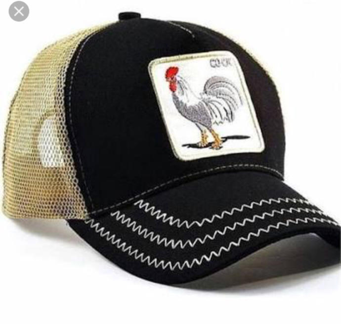Bu şapkayı izmirde nereden satın alabirim agora optimum yok yok goorin bros?