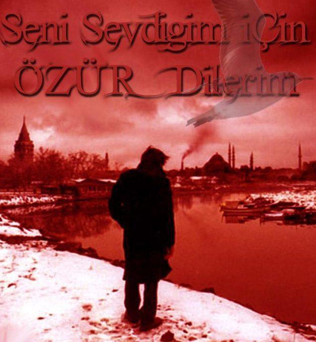 Hayatınızda seni sevdiğim için özür dilerim dediğiniz birisi oldu mu?