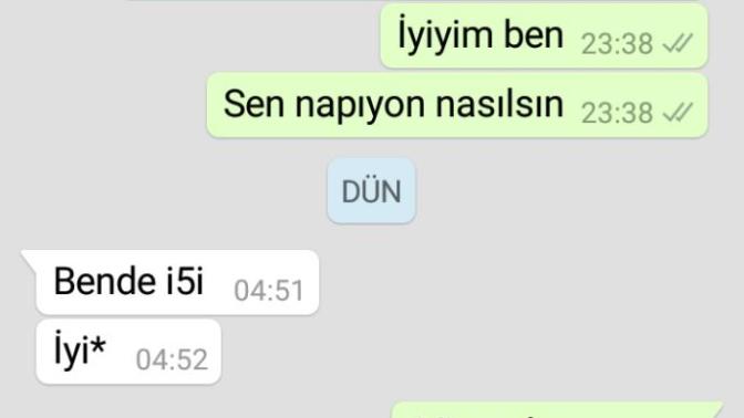 Wp ss lerine bakar mısınız bu iş olur mu?