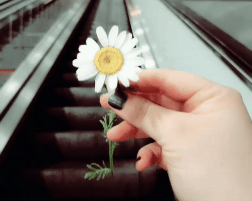 Seni mutlu eden küçük bir anı benimle paylaşır mısın?