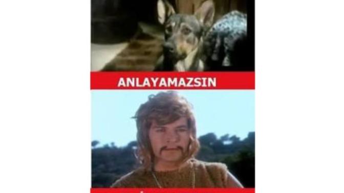 Caps veya karikatür seven var mı?
