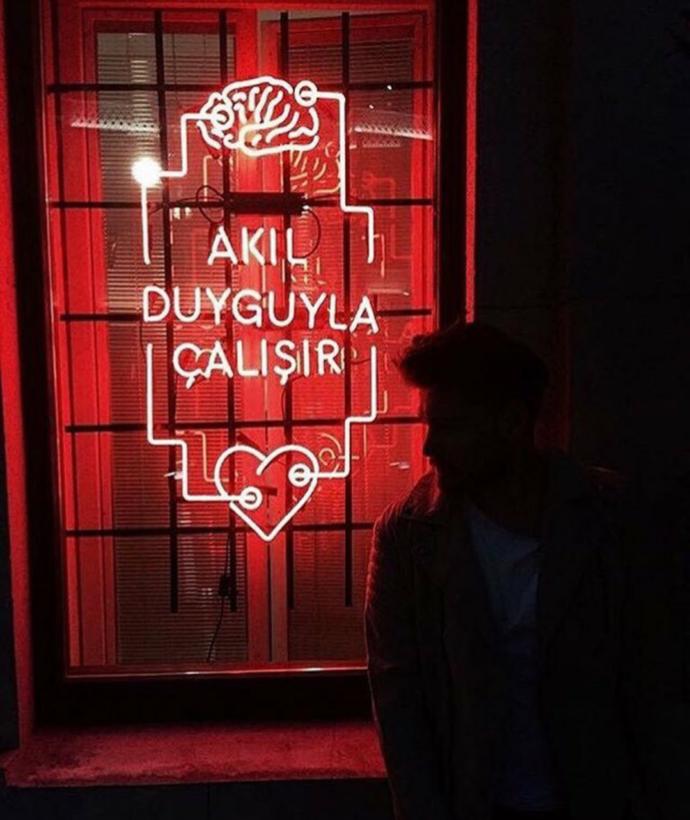 Sizce akıl duyguylamı çalışır yoksa mantıkla mı?
