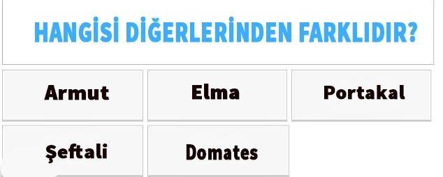Aşağıdakilerden hangisi diğerlerinden farklıdır ?