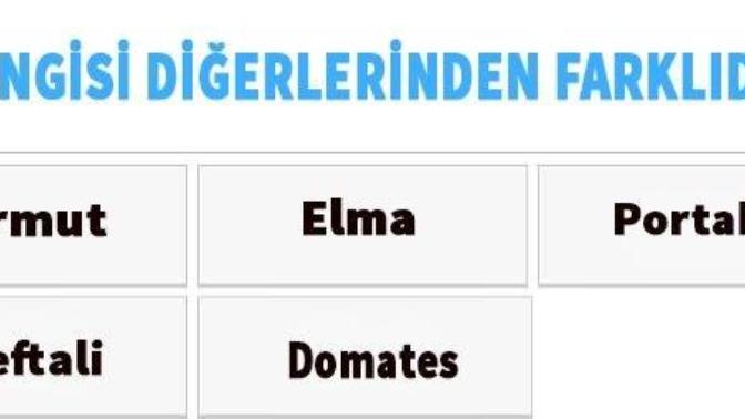 Aşağıdakilerden hangisi diğerlerinden farklıdır ?