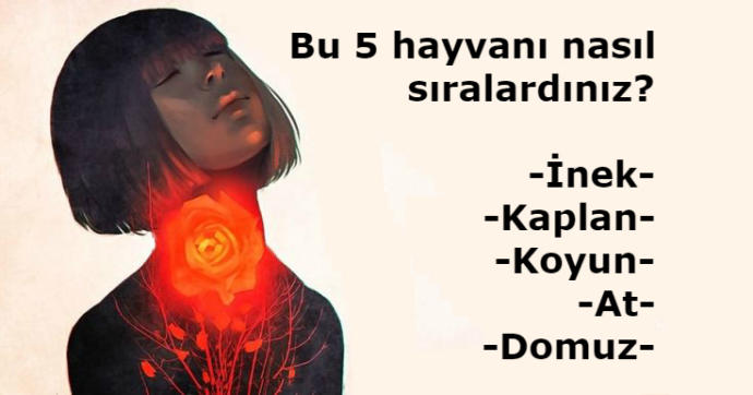Tibet kişilik testi, yüzde yüz doğru, Tibet testi ünlü şaşırtıcı test, hayvanları sıralayın, aşağıdakileri nasıl sıralarsınız?