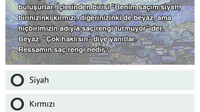 Zekasına güvenen gelsin. Ressamın saç rengi nedir? 🤨?