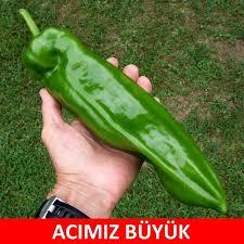 Size acıyı anlatamam ama fotoğrafını çekebilirim. Yaşadığınız en son acı neydi?