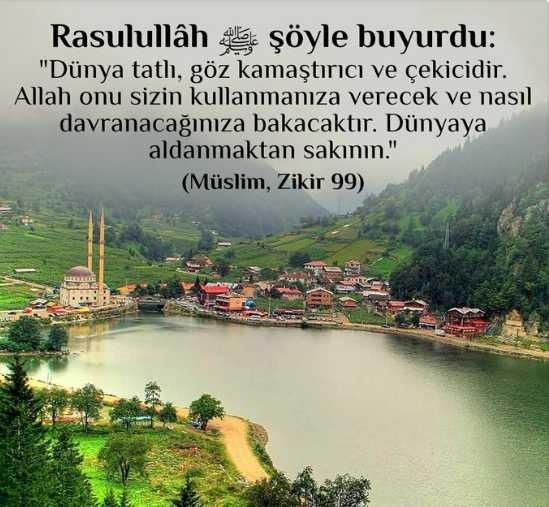 Dünya hayatına aldanıyor musunuz?