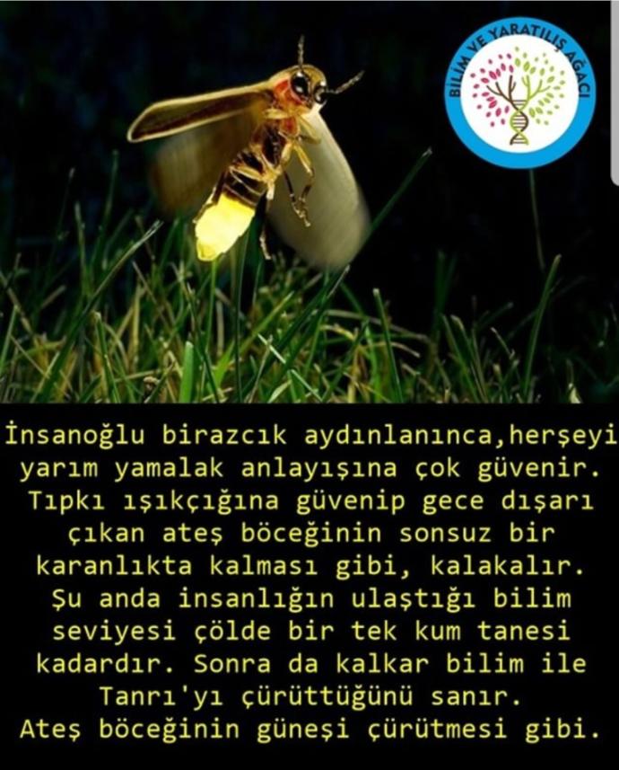 Ateist oldum ama ailem aşırı dindar ne yapıcam ben?