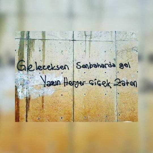 Gördüğünüz Veya Okuduğunuz En Güzel Duvar Yazısı Neydi?