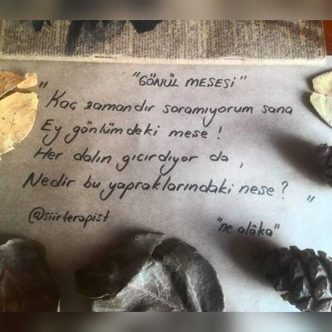 Gördüğünüz Veya Okuduğunuz En Güzel Duvar Yazısı Neydi?