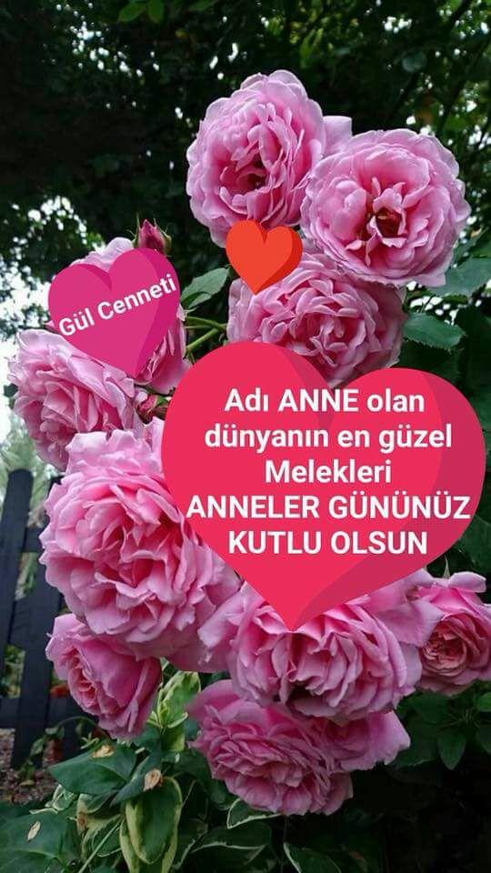 Tüm annelerin anneler günü kutlu olsun mu?
