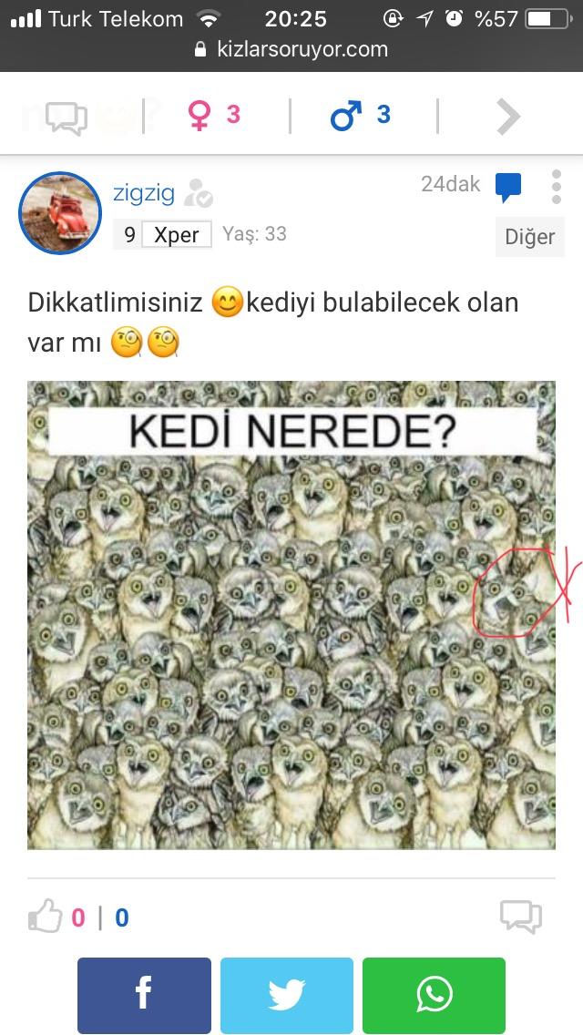 Hadi bakalım kediyi bulabilecek olan var mı 😊?