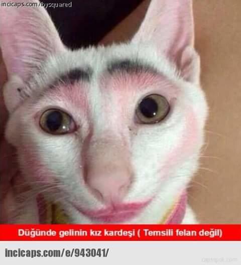 Düğünlerde en çok ne ilginizi çeker?
