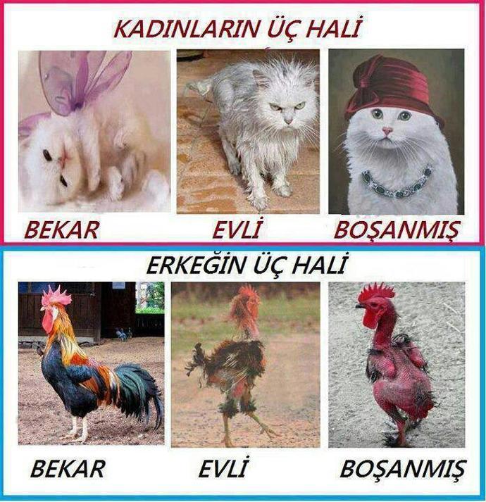 Bekarlığın avantajları ve dezavantajları, nelerdir?