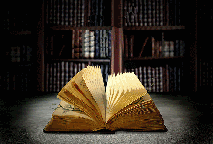Bir kitap olsaydın, hangi tür bir kitap olurdun?
