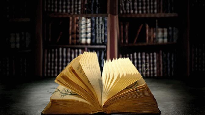 Bir kitap olsaydın, hangi tür bir kitap olurdun?