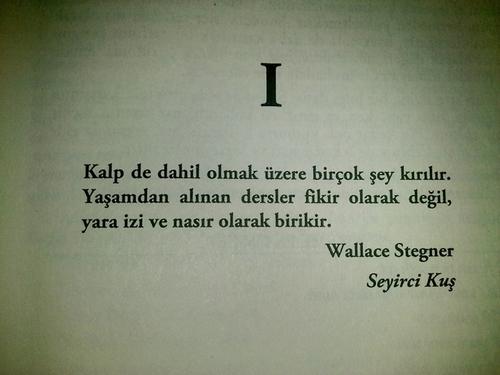 İnsan neden imkansızı seçer, neden olmayacak hayaller kurar bu hayaller peşinde koşarken ona değer verenleri sizce neden kırar?
