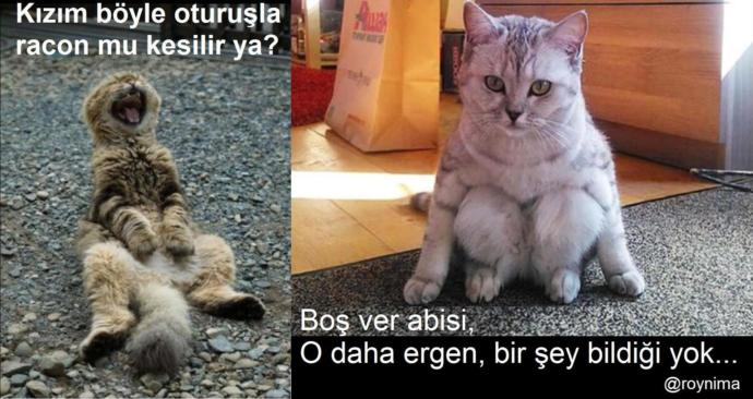 Sevgilinizi Bağcılar'da semt oturuşu yaparken görseniz vereceğiniz tepki nasıl olurdu?
