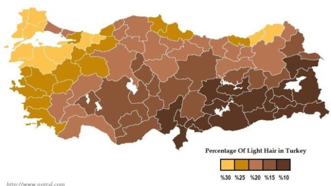 Türkiyedeki illerin sarışın oranı. Sizin görüşleriniz neler bu harita hakkında?