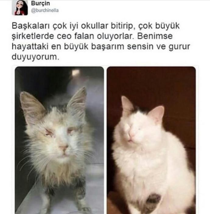 Hayattaki başarının ölçüsü nedir?
