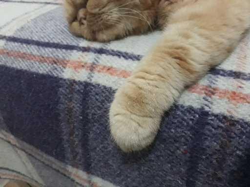 Bu gece kime sarılıp uyumak isterdiniz?