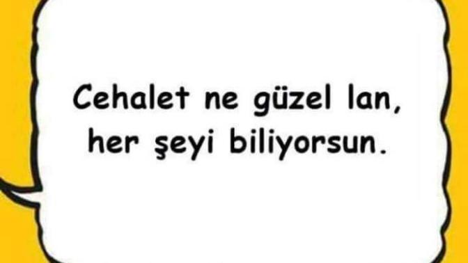 Cahile lâf anlatmak niye bu kadar zor?