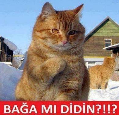 Flörtünüzün oruç tutup tutmaması ona olan yakınlığınız etkiler mi?