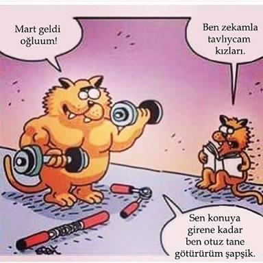 Sahura kaldıran erkek mi, dambıl kaldıran erkek mi idealdir?