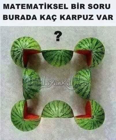 Matematiksel bir soru Burda kaç karpuz var?