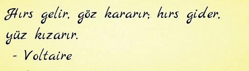 Hırs gelir, göz kararır. Hırs gider, yüz kızarır! Son zamanlarda hırs haline getirdiğiniz bir şeyler var mı?