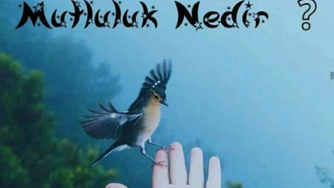Sizce mutluluk nedir?