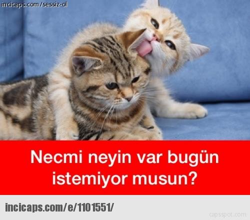 Kadınlar bir gün değişeceği erkekler ise hiç değişmeyeceği umuduyla evlenir! Evlendiğin kişinin değişmesini beklemek mantıklı mı?