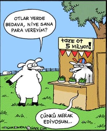 Çok meraktan başınıza hiç birşey geldiği oldu mu?