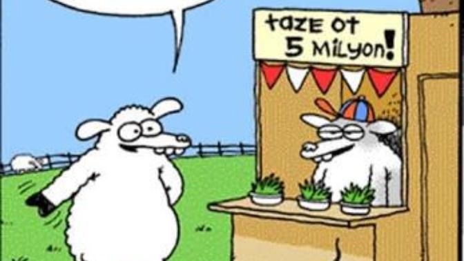 Çok meraktan başınıza hiç birşey geldiği oldu mu?