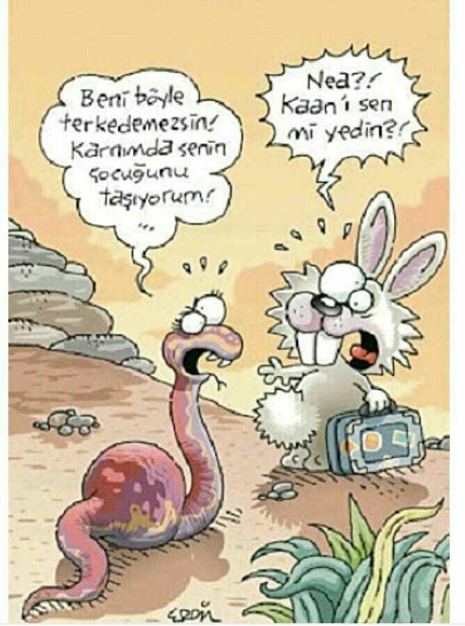 Sizi gülümseten bir karikatür paylaşır mısınız?