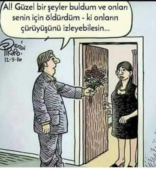 Sizi gülümseten bir karikatür paylaşır mısınız?